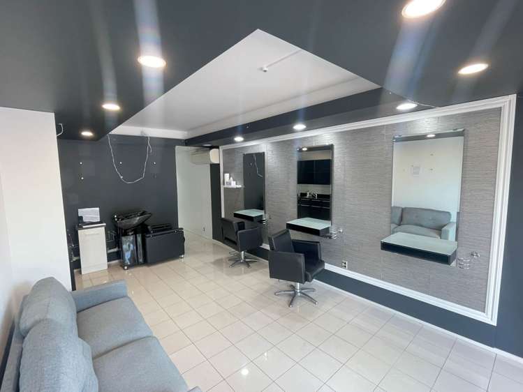 393 Parnell Road Parnell_2