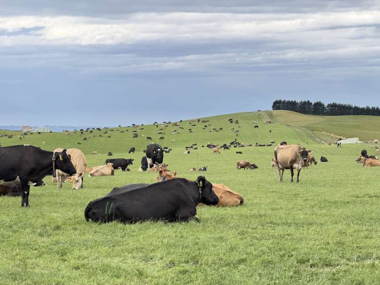 264 Dumfries Road, Taumata Clinton_8