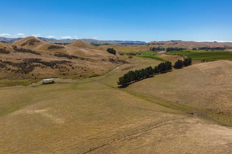 167 Marama Road Seddon_19