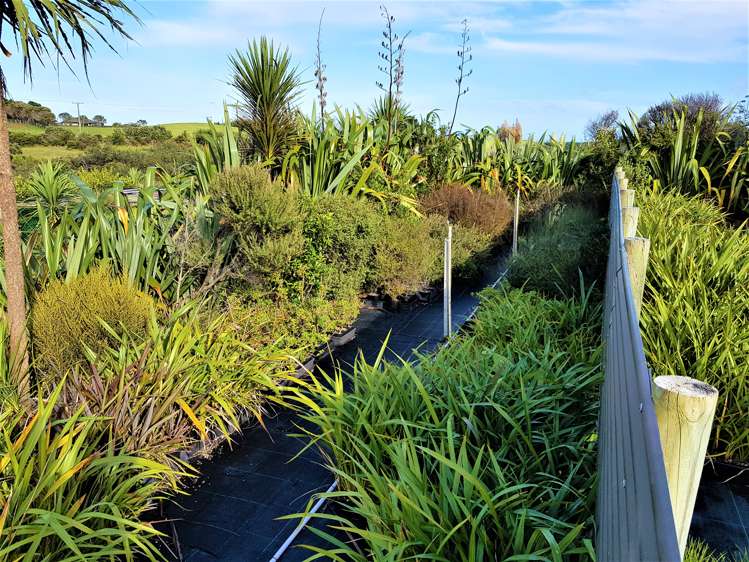 1246 Babylon Coast Road Dargaville Surrounds_20