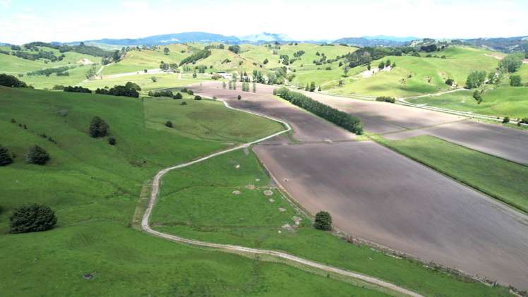 95 Mason Road Maromaku_0