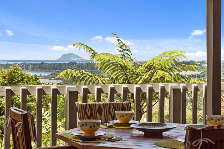 89 Whakamarama Road Whakamarama_1