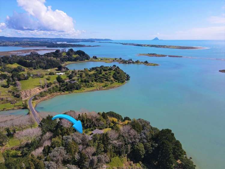 121 Reeves Road Opotiki and Surrounds_39