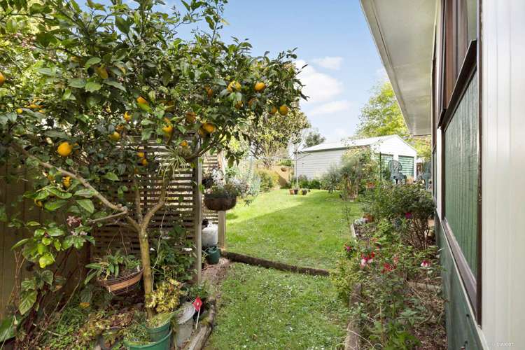 6 Balmore Place Wattle Downs_16