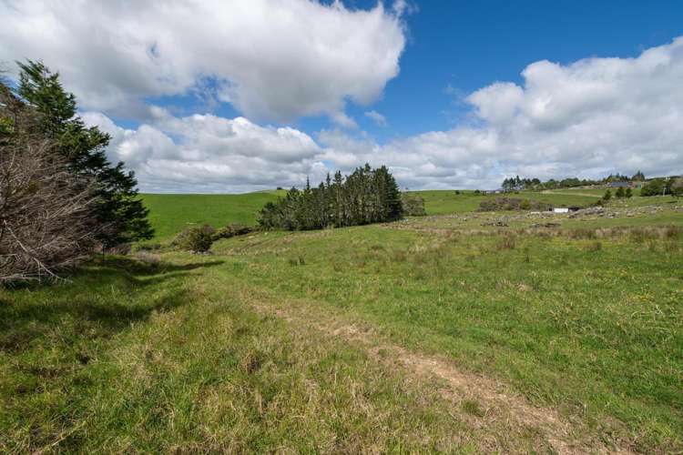 183A Wiroa Road Kerikeri_12