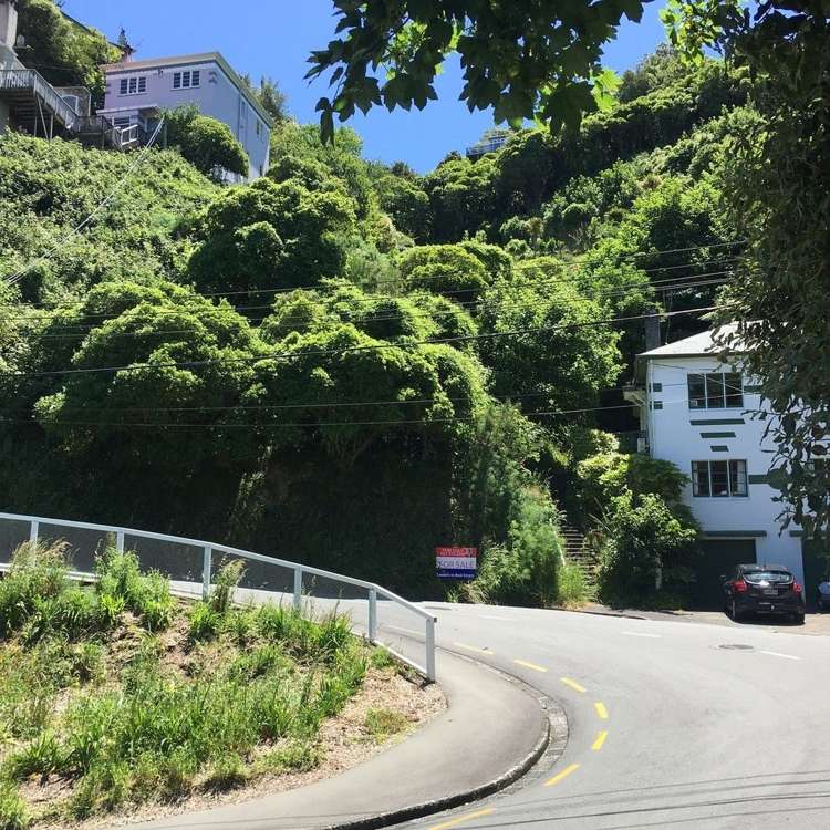 73 Garden Road Northland_6