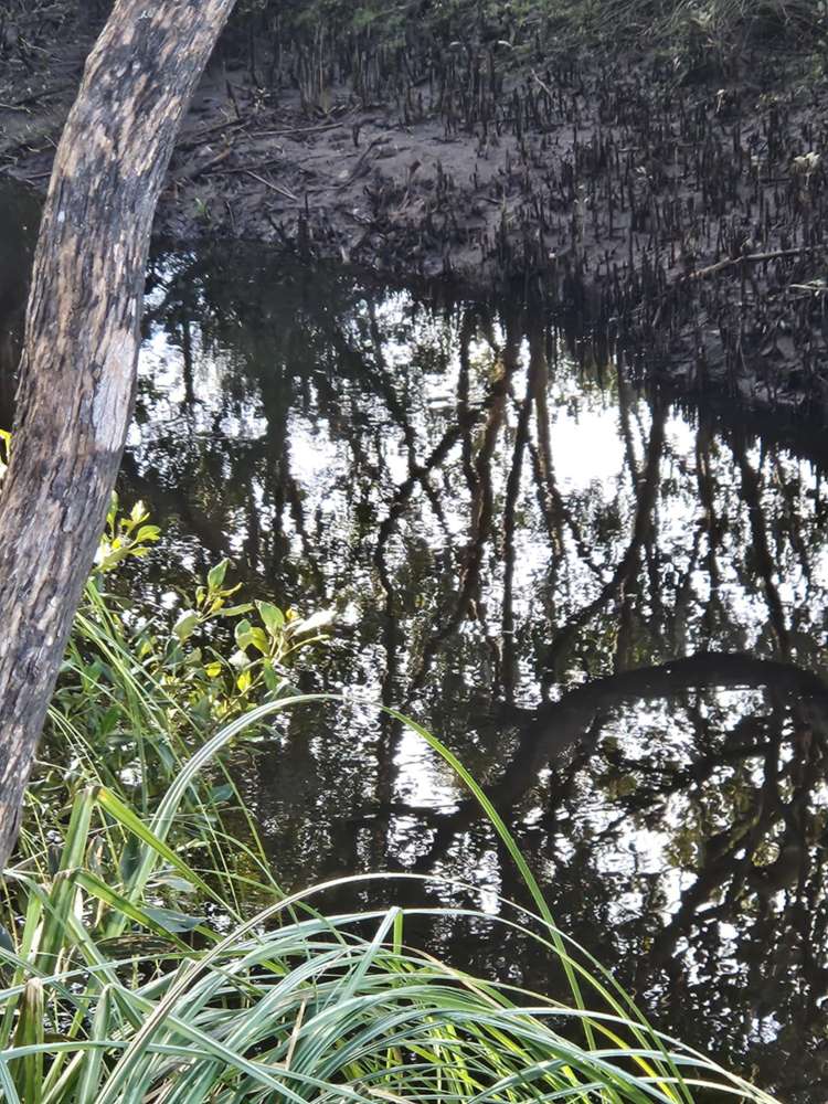 Heath Road Waiharara_22