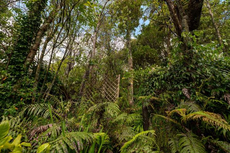 74 Okareka Loop Road Lake Okareka_22