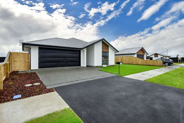 18 Florence Drive Morrinsville_2