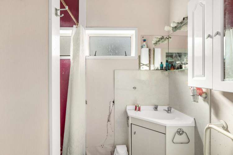 216a Harris Street Inner Kaiti_19