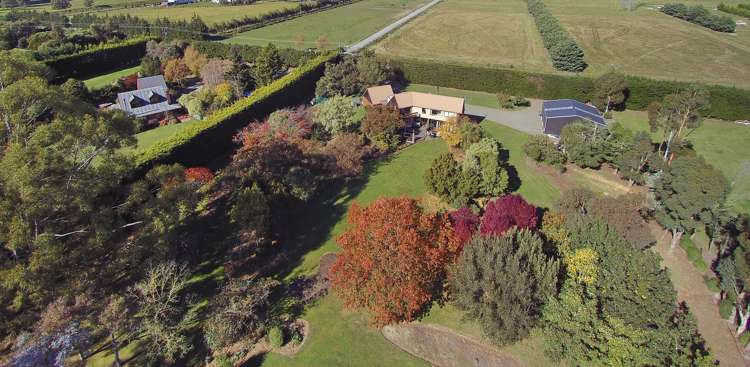 420 Johns Road Fernside_21