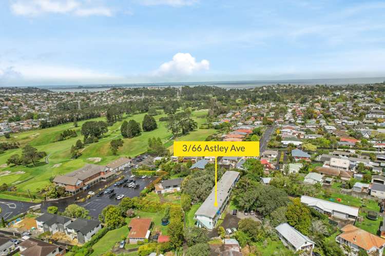 3/66 Astley Avenue New Lynn_10