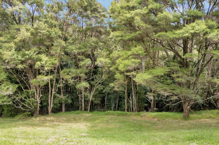 63 Memorial Drive Parahaki_30