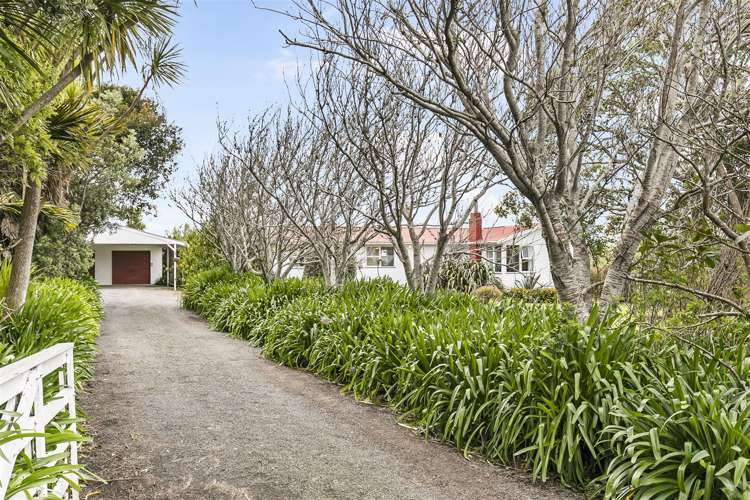 102 Taiapa Road Muriwai_22