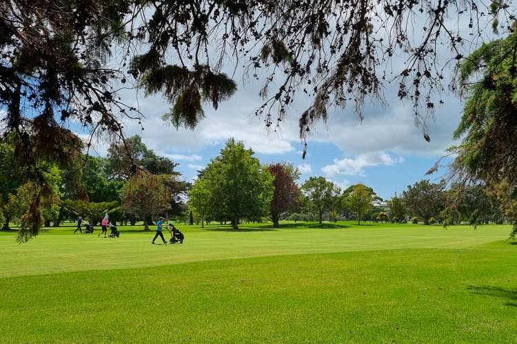 3a Ariho Terrace Devonport_18