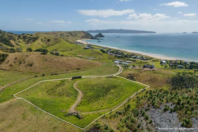 838 Black Jack Road Opito Bay_3