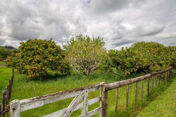 27 Old Reservoir Road Karangahake_9