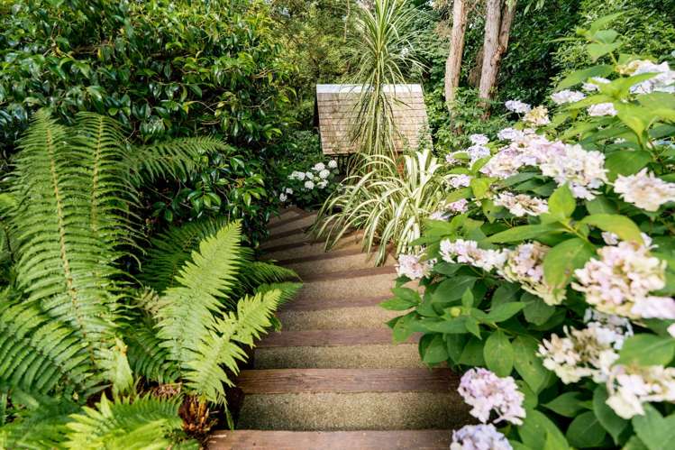 26 and 26A Grendon Street Maori Hill_43