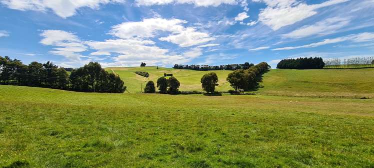 286 Brydone Glencoe Road Gore Surrounds_15