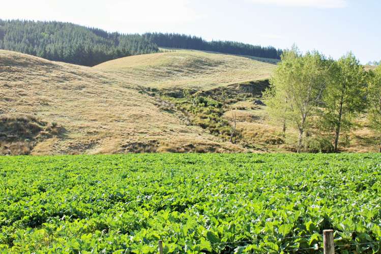 782 Glendhu Road Motunau_14