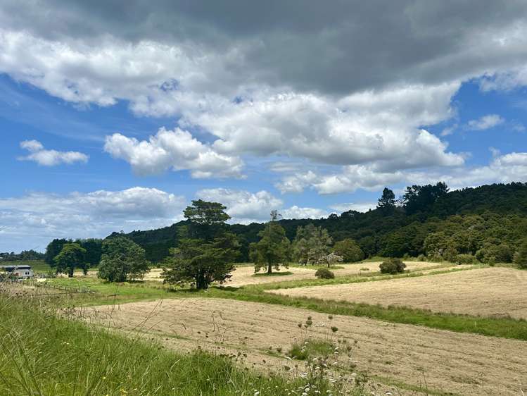 Lot 3 Waiotoi Road_2