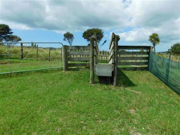 383 Brown Road Kaiwaka_17