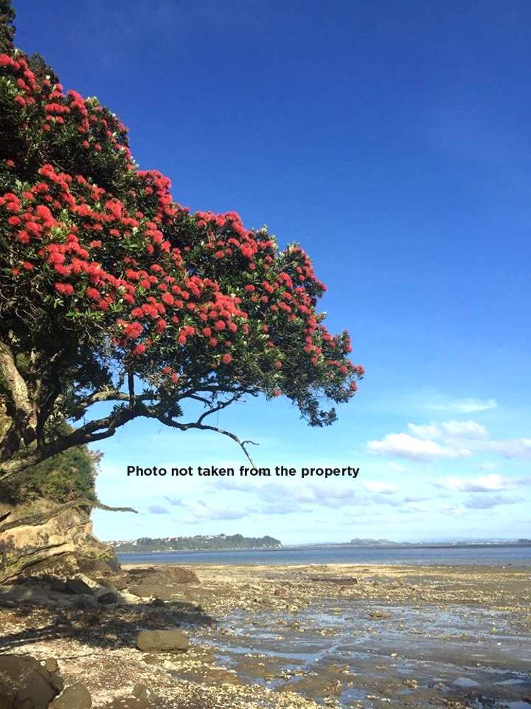 73 Takahe Road Titirangi_9