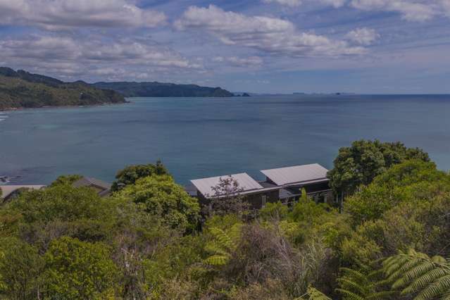 6 Fantail Terrace Tairua_3