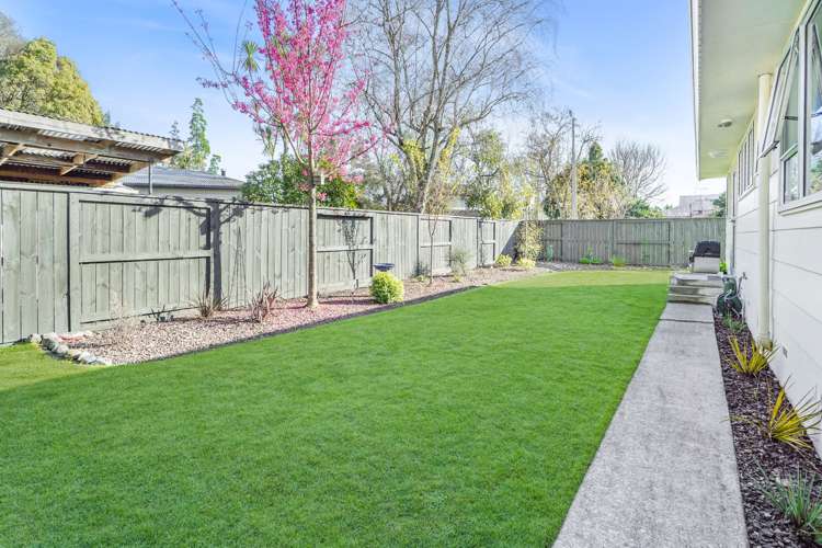 5a Brooklyn Road Claudelands_10