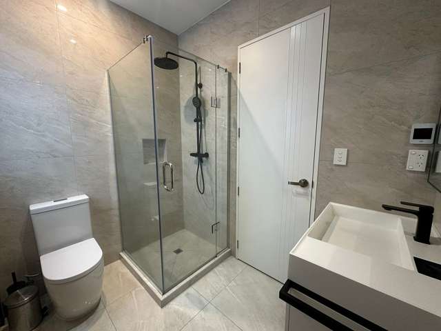 221C Murphys Road Flat Bush_3