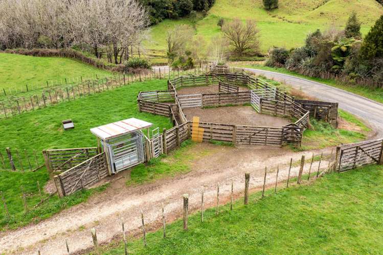 124 Haku Road Mangaotaki_15