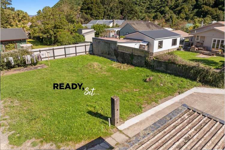 15B Black Beech Birchville_0