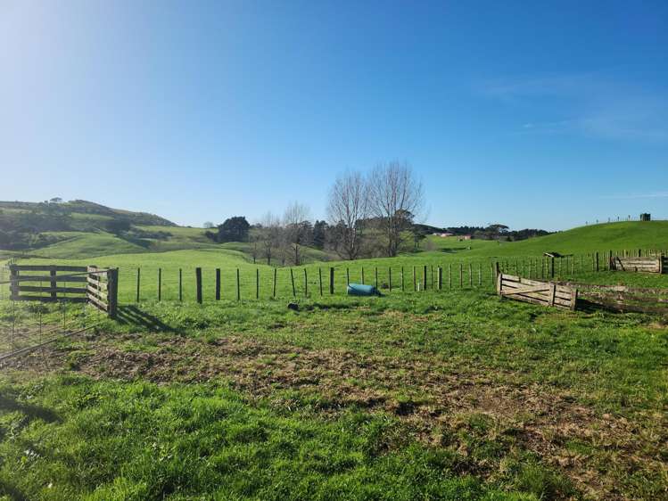 336 Dominion Road Tuakau_2