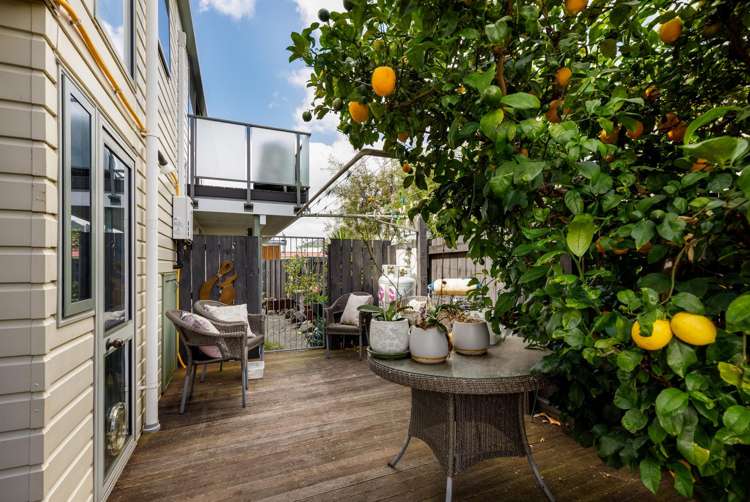 2 Marina Drive Picton_0