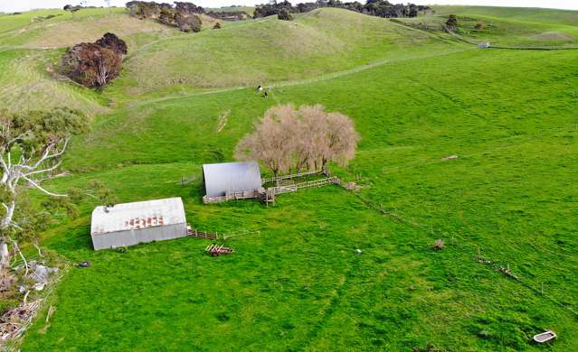 443 Makino Road Feilding_4