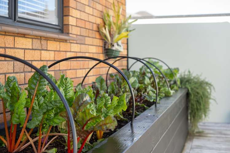 28a Edward Avenue Orewa_25