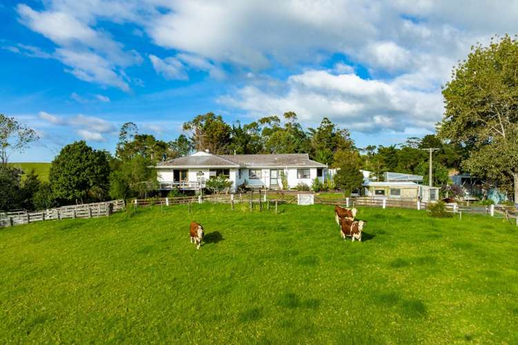 146 King Road Mangawhai_17