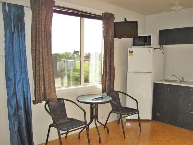 3/111 Domett Street 10113_3