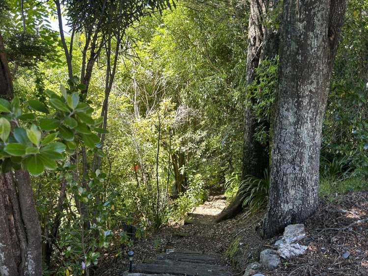 39 Ariesdale Terrace Toi Toi_10