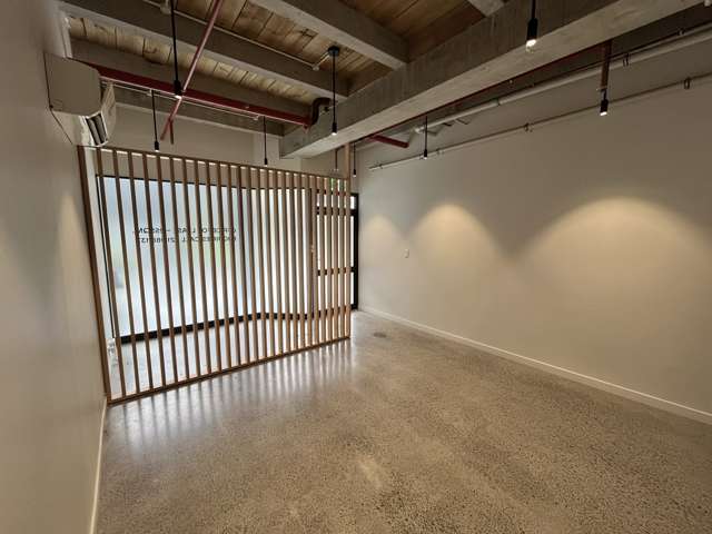 Unit N/1 Jervois Road Ponsonby_2