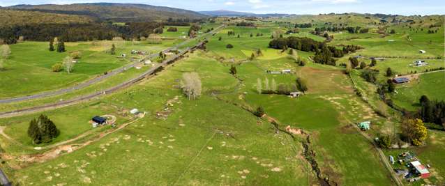 Kawautahi Road Owhango_3