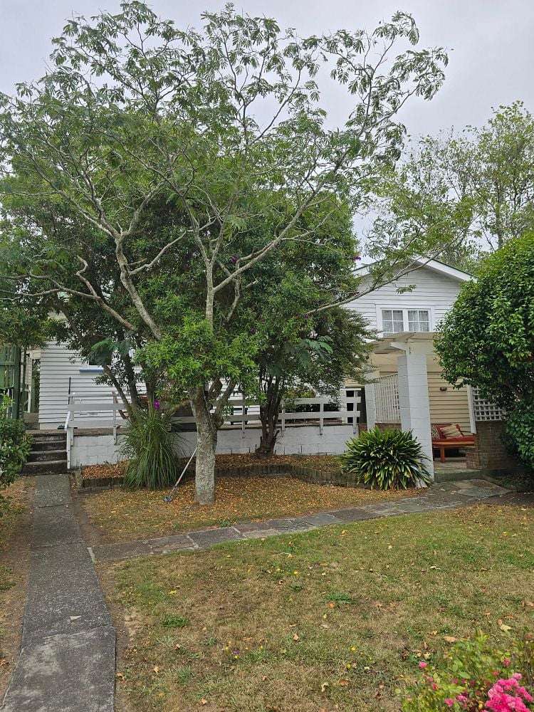 650 Sandringham Road Sandringham_6