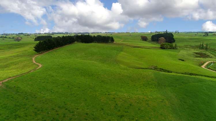 44 Black Road Te Kauwhata_16