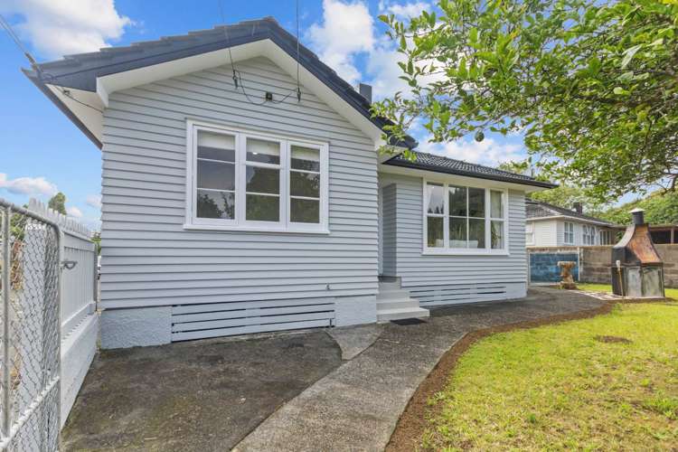 1/2 Esperanto Road Papatoetoe_12