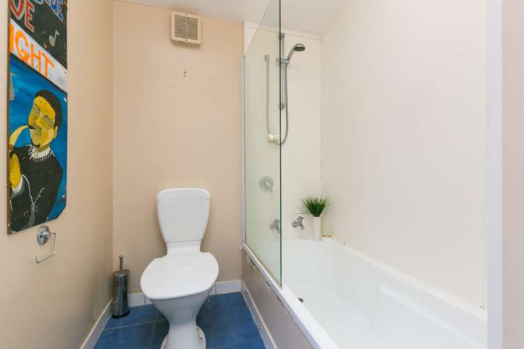 3 Torquay Terrace Newtown_7