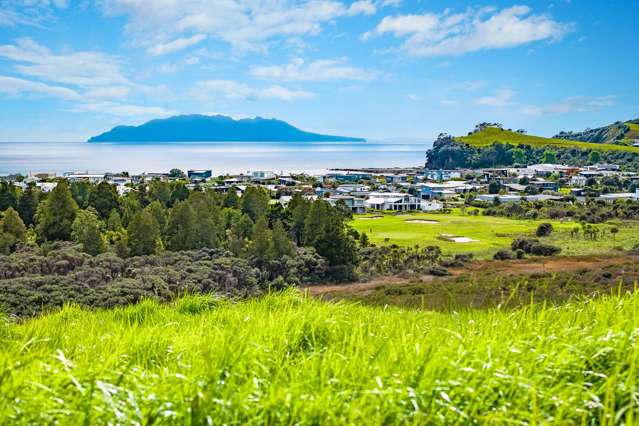 Mangatawhiri Road Omaha_2