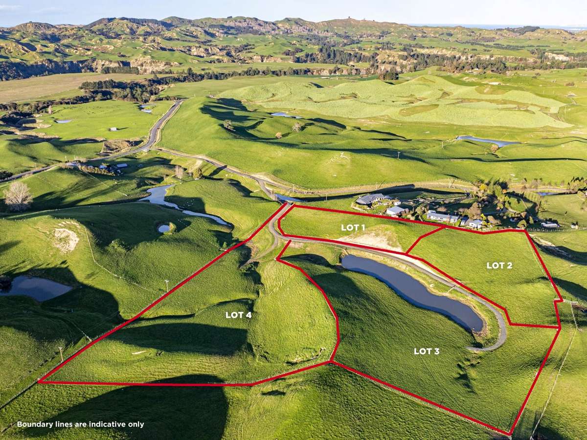 Lots 1 - 4, 2333 Puketitiri Road (subdivision of)_0