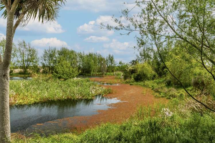 293 Beamish Road Bulls_25