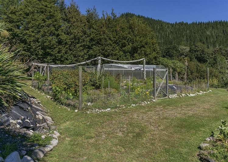 2314 Shenandoah Highway Murchison_37