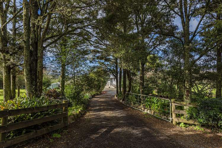 13 Bon Vue Ridge Whakapara_24